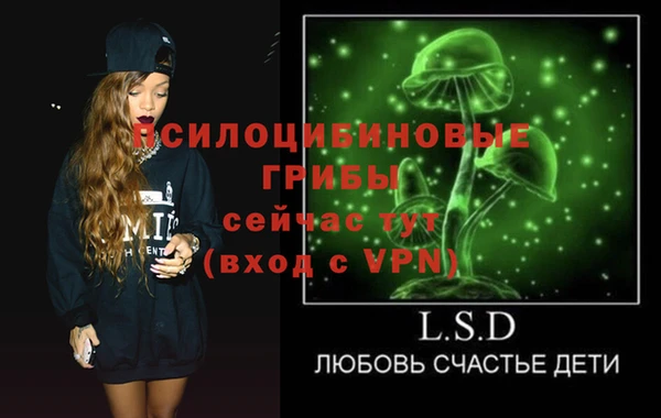 мет Карпинск