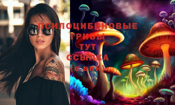 мет Карпинск