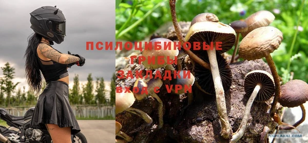 прущие грибы Касимов