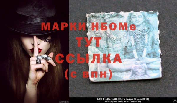 прущие грибы Касимов
