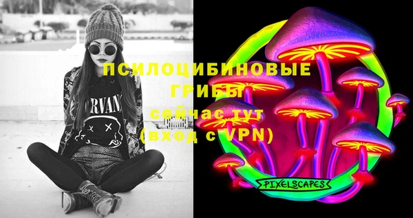 прущие грибы Касимов