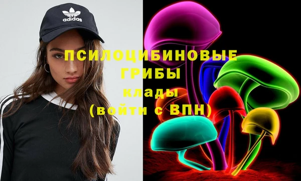 стафф Карталы