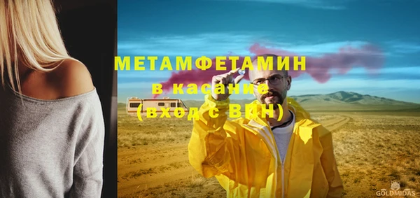 прущие грибы Касимов