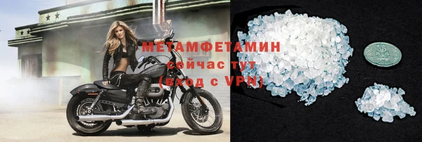 прущие грибы Касимов