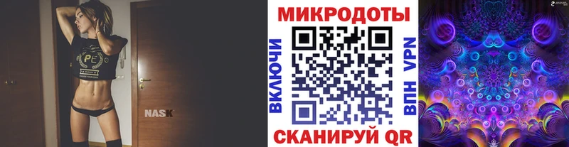Купить закладки  Бирюч  Псилоцибиновые грибы Psilocybe 
